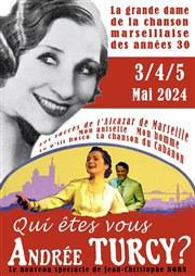 Qui êtes vous Andrée Turcy Atelier Sevin-Doering Affiche