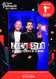 Zack & Stan dans Les sales gosses de la magie Centre Culturel de Saint Thibault des Vignes Affiche