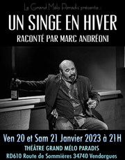 Un singe en hiver Thtre Grand Mlo Paradis Affiche