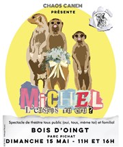 Michel l'eusses-tu cru ? Parc Pichat Affiche