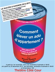 Comment élever un ado d'appartement ? Thtre du Roi Ren - Paris Affiche