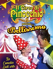 Il Circo di Pinocchio | Bourges Chapiteau Il teatro di Pinocchio  Asnires les Bourges Affiche