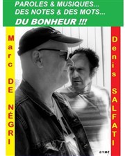 Marc de Negri et Denis Salfati Tremplin Arteka Affiche