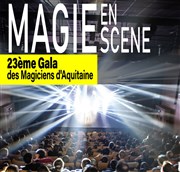 Magie en scène 2023 Centre Culturel Palmer Affiche