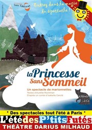 La Princesse sans sommeil Thtre Darius Milhaud Affiche