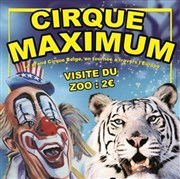 Le Cirque Maximum dans 100% cirque | - Albert Chapiteau Maximum  Albert Affiche