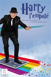 Harry l'empoté Petit gymnase au Thatre du Gymnase Marie-Bell Affiche