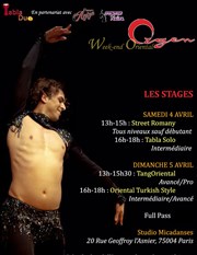 Stages de danse orientale avec Ozgen Studio de danse Micadanses Affiche