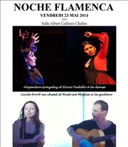 Noche flamenca Thtre Albert Caillou Affiche