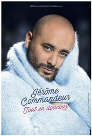 Jérôme Commandeur dans Tout en douceur Lonard de Vinci Opra de Rouen (Thtre des Arts) Affiche