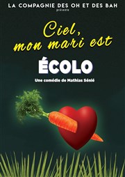 Ciel , mon mari est écolo ! Tte de l'Art 74 Affiche