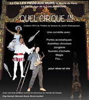 Quel cirque !!! Thtre Roger Lafaille Affiche