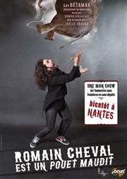 Romain Cheval La Compagnie du Caf-Thtre - Petite salle Affiche