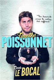 Timothé Poissonnet dans Le bocal Thtre Alternatif de Chelles Affiche