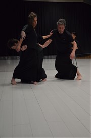 Hommage à Pierre Doussaint, passeur de danse Studio Le Regard du Cygne Affiche