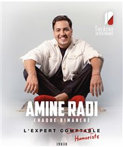 Amine Radi dans L'Expert Humoriste Thtre de Dix Heures Affiche