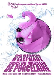 Une mémoire d'éléphant (dans un magasin de porcelaine) Thtre de l'Impasse Affiche