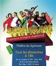 Sunshine : le spectacle d'improvisation explosif par l'équipe de Colors / saison 2 Le Thtre du Petit Gymnase Affiche