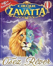 Cirque Nicolas Zavatta Douchet | Evreux Chapiteau Nicolas Zavatta Douchet  Evreux Affiche