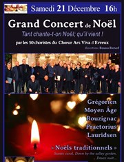 Grand concert de Noël : Choeur Ars Viva de la Cathédrale d'Evreux glise St Philippe du Roule Affiche