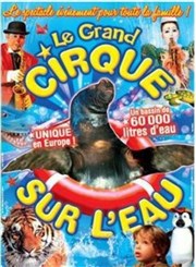 Le Cirque sur l'Eau | - Sète Chapiteau le Cirque sur l'eau  Ste Affiche