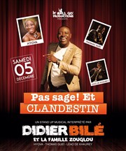 Pas sage et clandestin ! Ligne 13 Affiche