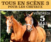 Tous en Scène pour les chevaux - 3 La Coupole Affiche