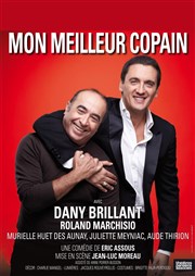 Mon meilleur copain | avec Dany Brillant Thtre Armande Bjart Affiche