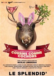 Cousins comme Cochons | Les dernières Le Splendid Affiche