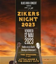 Zikers Night Thtre de la Clart Affiche