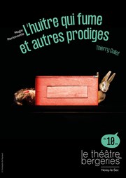 L'huitre qui fume et autres prodiges Thtre des Bergeries Affiche