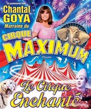 Le Cirque Maximum dans Le Cirque Enchanté | - Binic Chapiteau Maximum  Binic Affiche