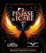 Cirque Alexis Gruss dans Pégase & Icare Le Znith de Dijon Affiche