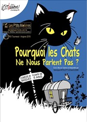 Pourquoi les chats ne nous parlent pas ? Royale Factory Affiche