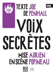 Voix secrètes Thtre de Belleville Affiche