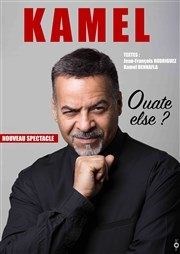 Kamel |dans Ouate else ? L'Antidote Affiche