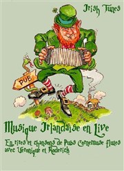 Musique Irlandaise en live Tremplin Arteka Affiche