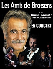 Les amis de Brassens Le Zbre de Belleville Affiche