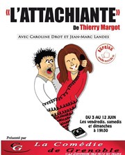 L'Attachiante Comdie de Grenoble Affiche