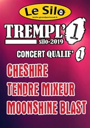 Cheshire + Tendre mixeur + Moonshine blast Le Silo Affiche