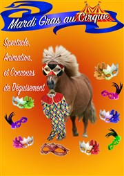 Mardi Gras au cirque ! Chapiteau Cheval Art Action Affiche