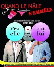 Quand le mâle s'emmêle Thtre du Gouvernail Affiche