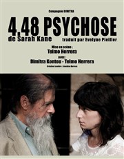 4.48 Psychose Thtre de Nesle - petite salle Affiche