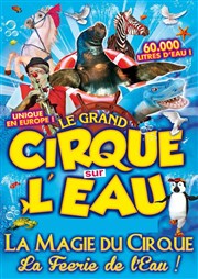 Le Cirque sur l'Eau | - Grenoble Chapiteau Le Cirque sur l'eau  Grenoble Affiche