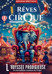 Le Cirque Classico dans Rêves de Cirque | Nice Chapiteau du Cirque Thtre Classico Affiche