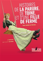 Histoire de la parure, de Toine et d'une fille de ferme Pixel Avignon Affiche