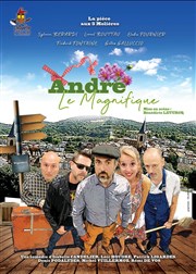 André le magnifique Thtre de l'Eau Vive Affiche