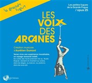 Les voix des Arcanes Studio Raspail Affiche