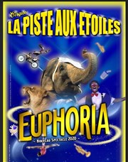 Cirque la piste aux étoiles dans Euphoria La piste aux toiles  Als Affiche