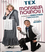 Monsieur Nounou | avec Tex Centre Culturel l'Odysse Affiche